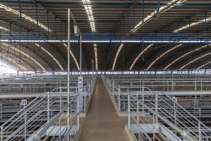 Livestock Barn Construction in Kansas City, KS
